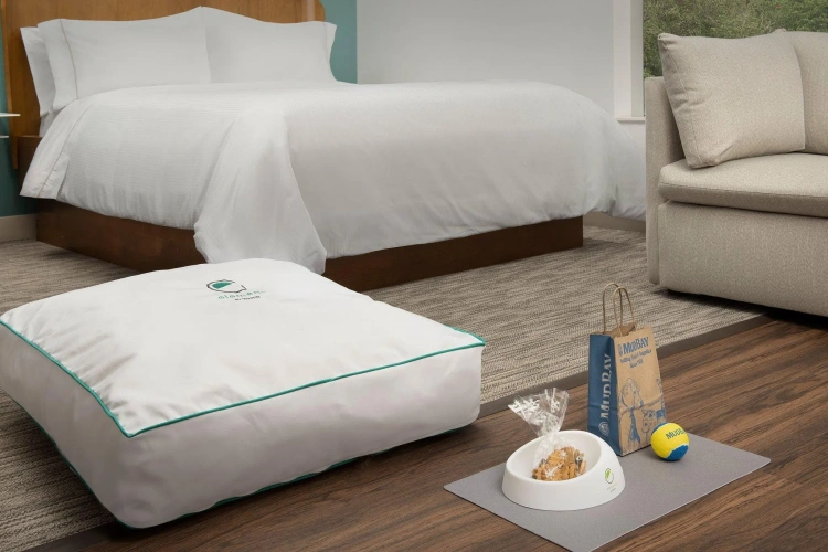 1 Bedroom Double Suite