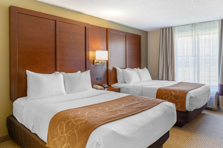 Quadruple Suite