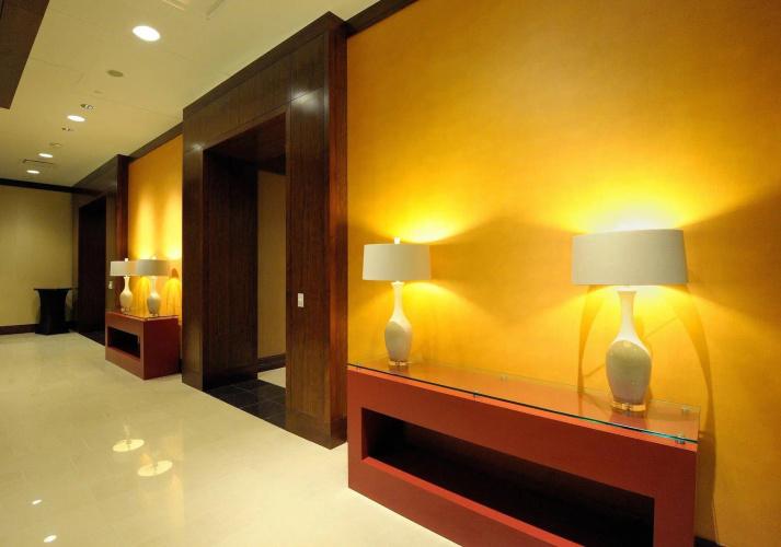 Embassy Suites by Hilton Houston Downtown photo 7