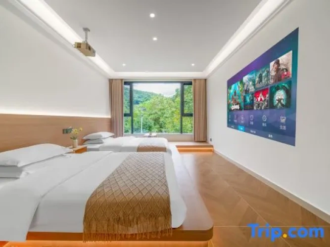 Standard Double Attic room