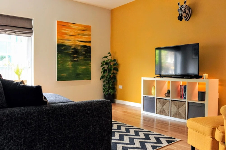 Contemporary Apartment With Garden