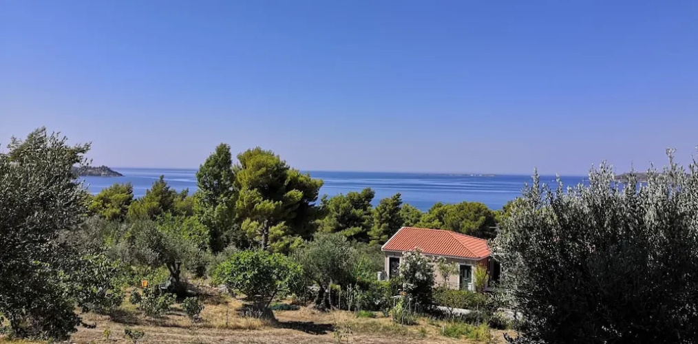 Seapine Studios