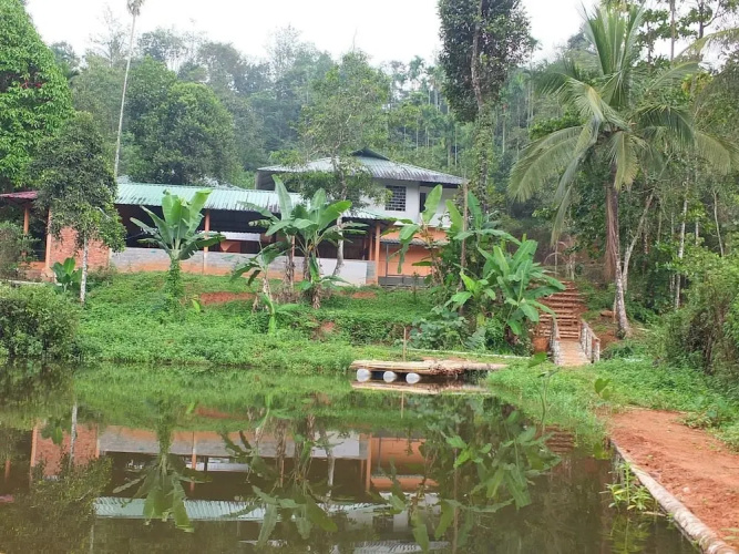 Jungle Valley Resort