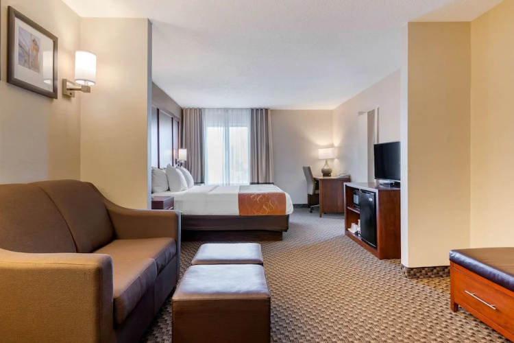 Comfort Suites South Haven Area