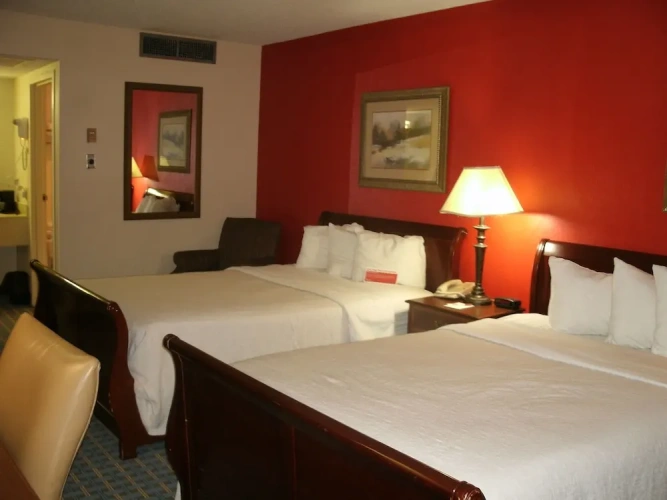 Deluxe Quadruple room