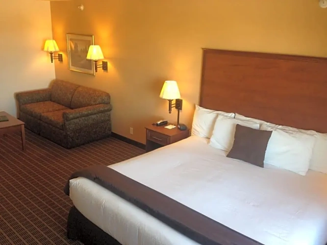 Twin Suite