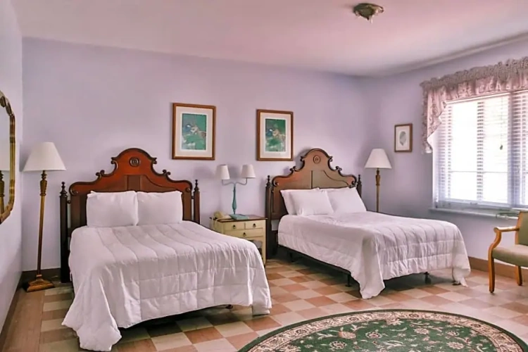 Premium Double room with river view