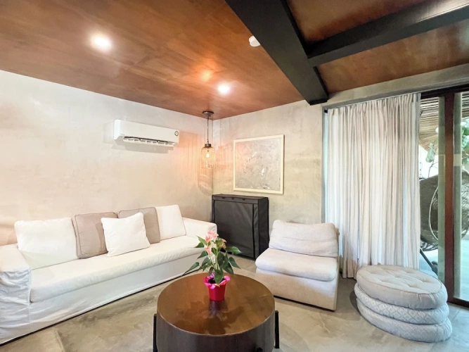 Luxury Suite