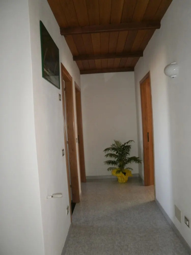 Scalas House in Nurachi