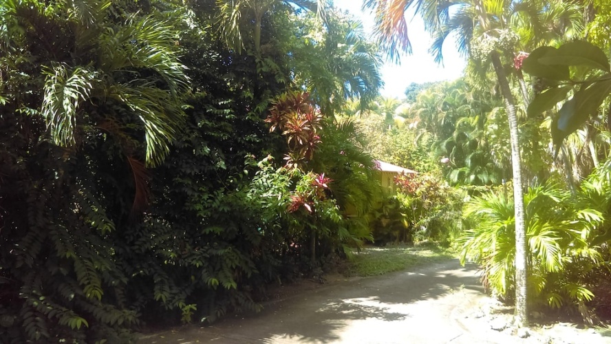 Outside