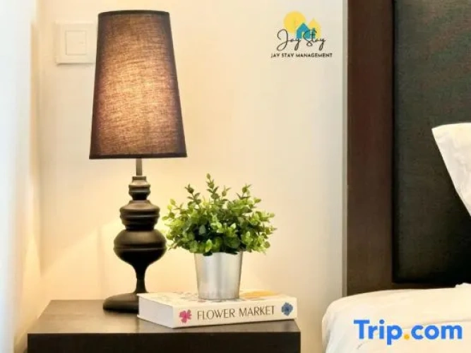 1 Bedroom Superior Apartment with balcony