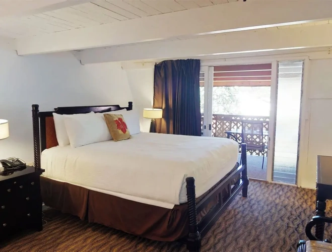 Deluxe Double room with balcony and with garden view