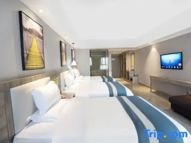 Standard Twin room with city view