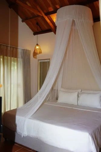 Premier Double room with balcony and with garden view