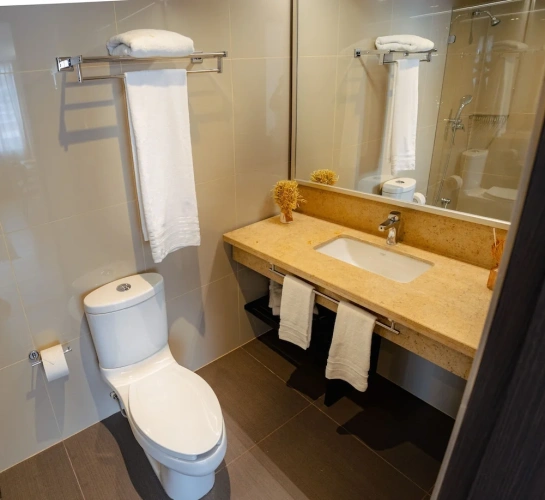 Deluxe Suite