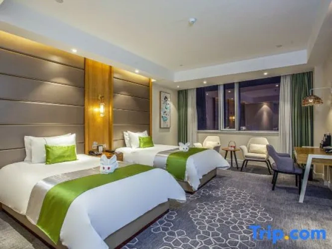 Deluxe Twin room with city view