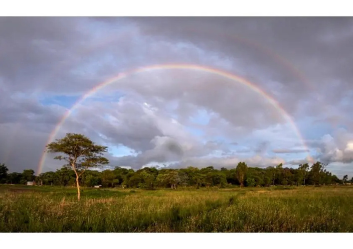 Nature on the HIll