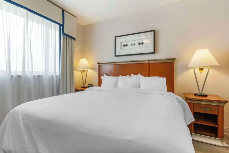 Twin Suite