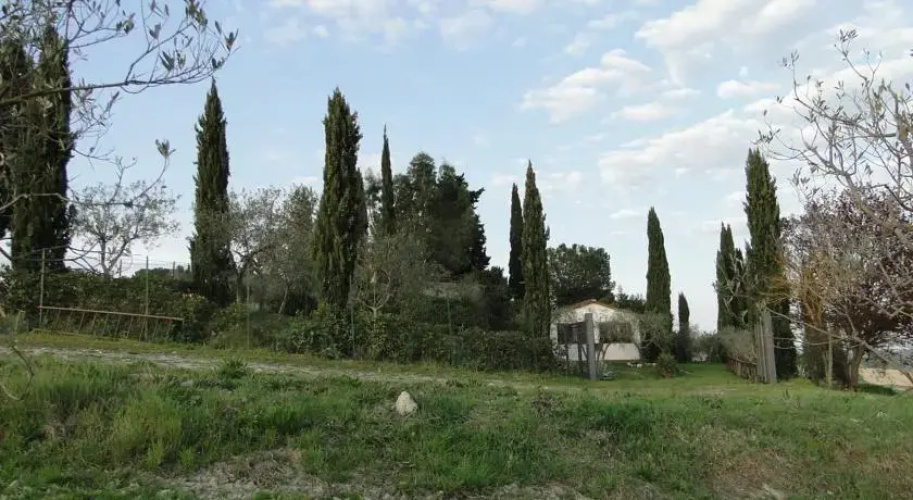 Il pollice verde