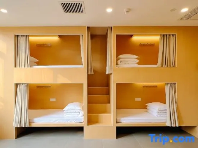 Bed in Dorm
