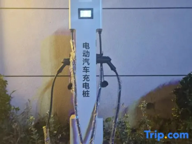 Wei Er Dun Jiu Dian
