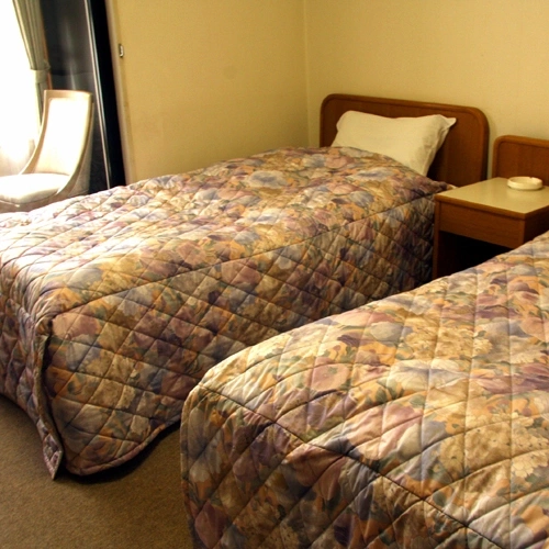 Standard Twin room with mountain view