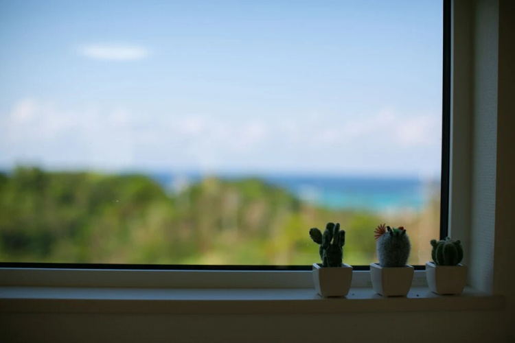 Irie House