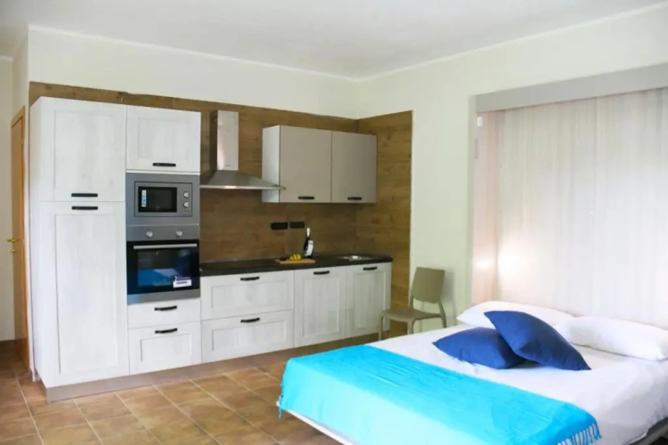 1 Bedroom Apartment