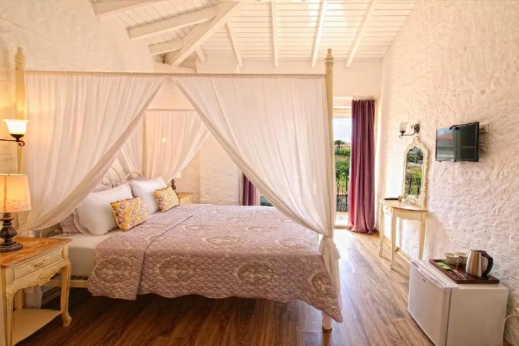 Deluxe Double room with balcony