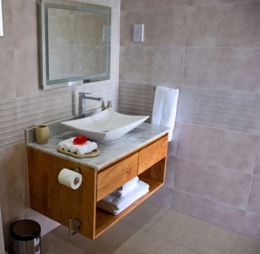 Standard Apartment