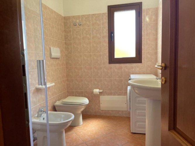 Basement Apartment