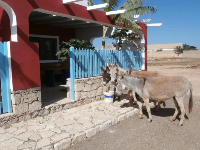 1 Bedroom Bungalow