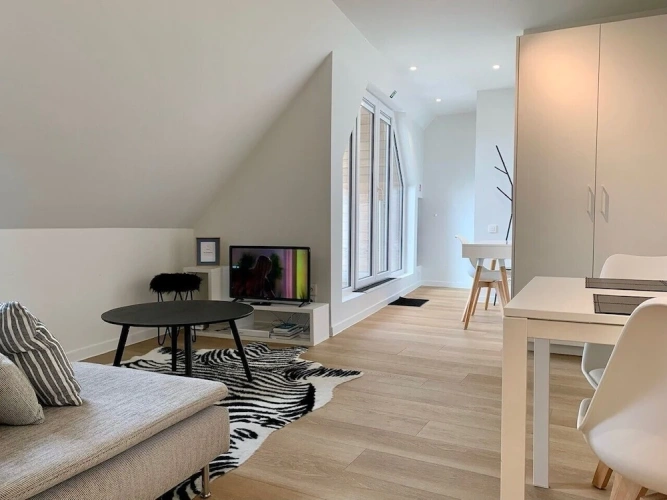 Deluxe Double Penthouse room