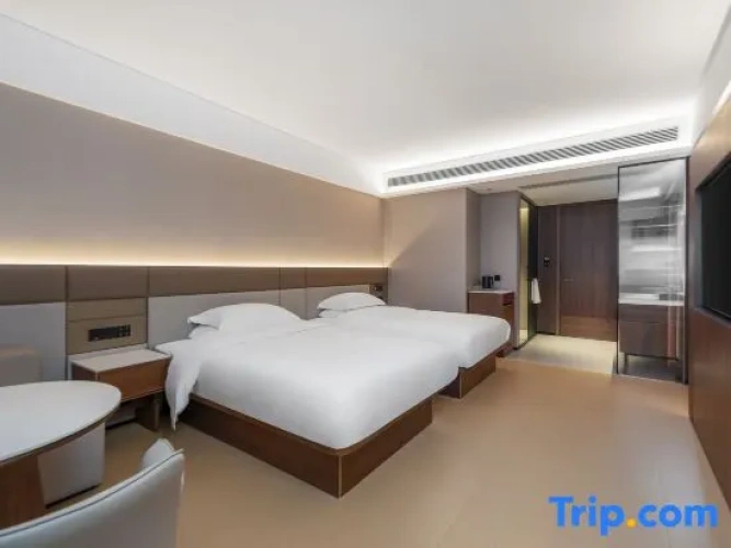 Executive Twin room