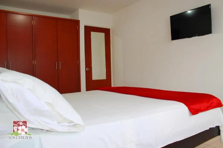 1 Bedroom Apartment with view
