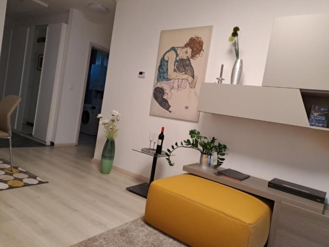 Deluxe Apartment