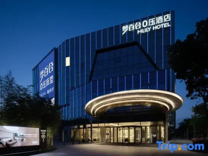 Mlily Hotel
