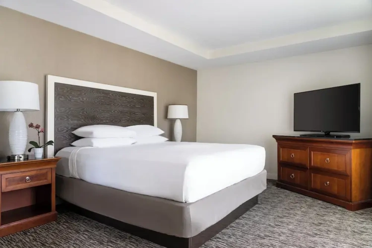 Premier Suite