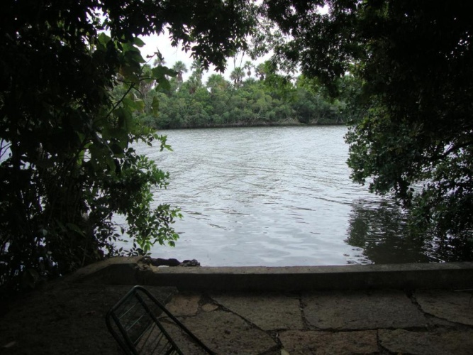 Outside