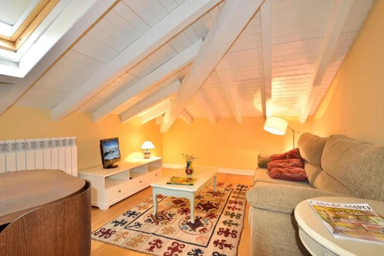 1 Bedroom Penthouse Apartment