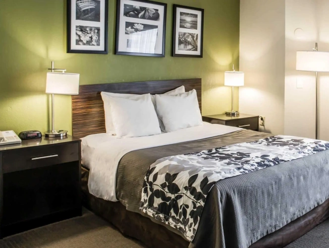 Standard Single room