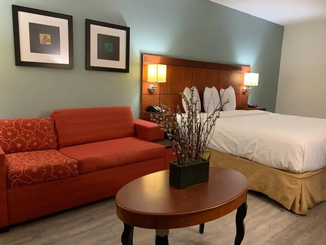 Premier Single room
