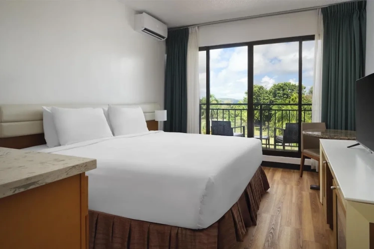 1 Bedroom Suite