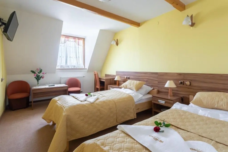 Standard Double room