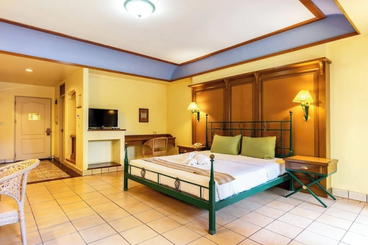 Deluxe Double room with balcony and with river view