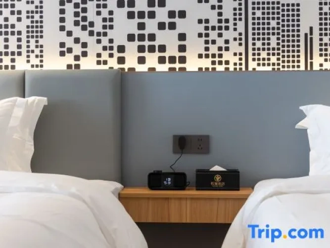 Luxury Twin room