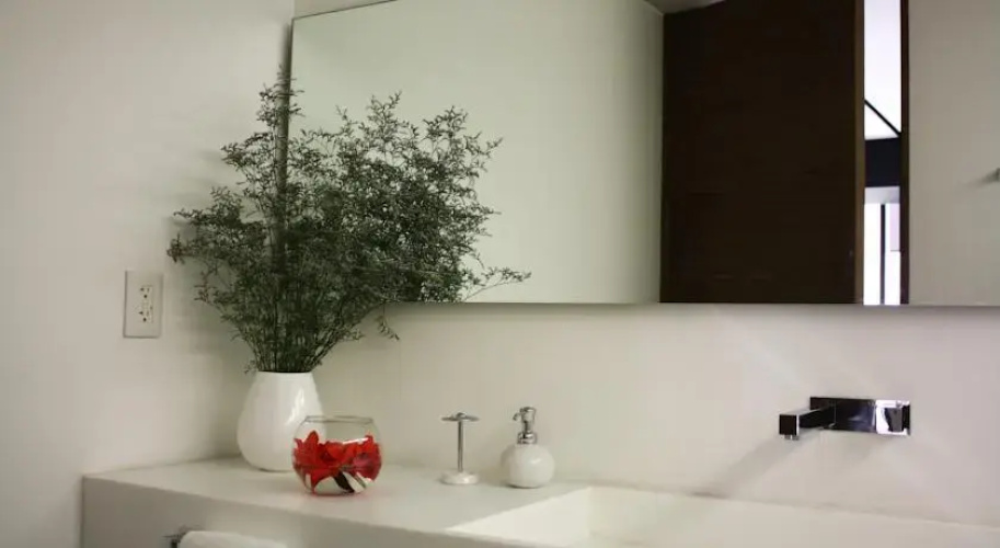 Suite Lujo Torre Magenta Reforma