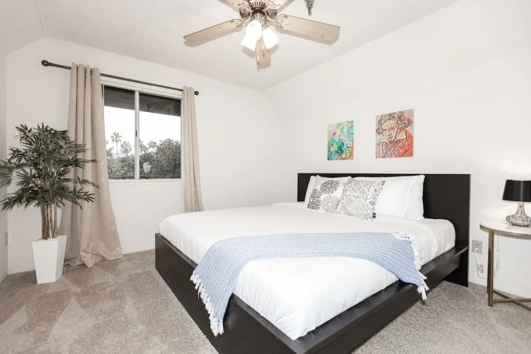 Comfort Apartment