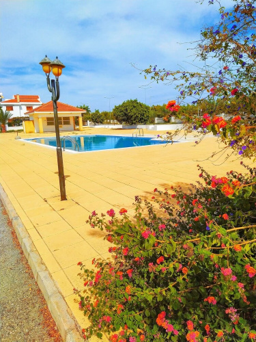 Salamina Houses
