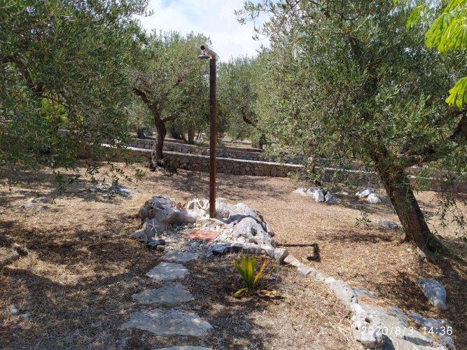 Il giardino di Mary